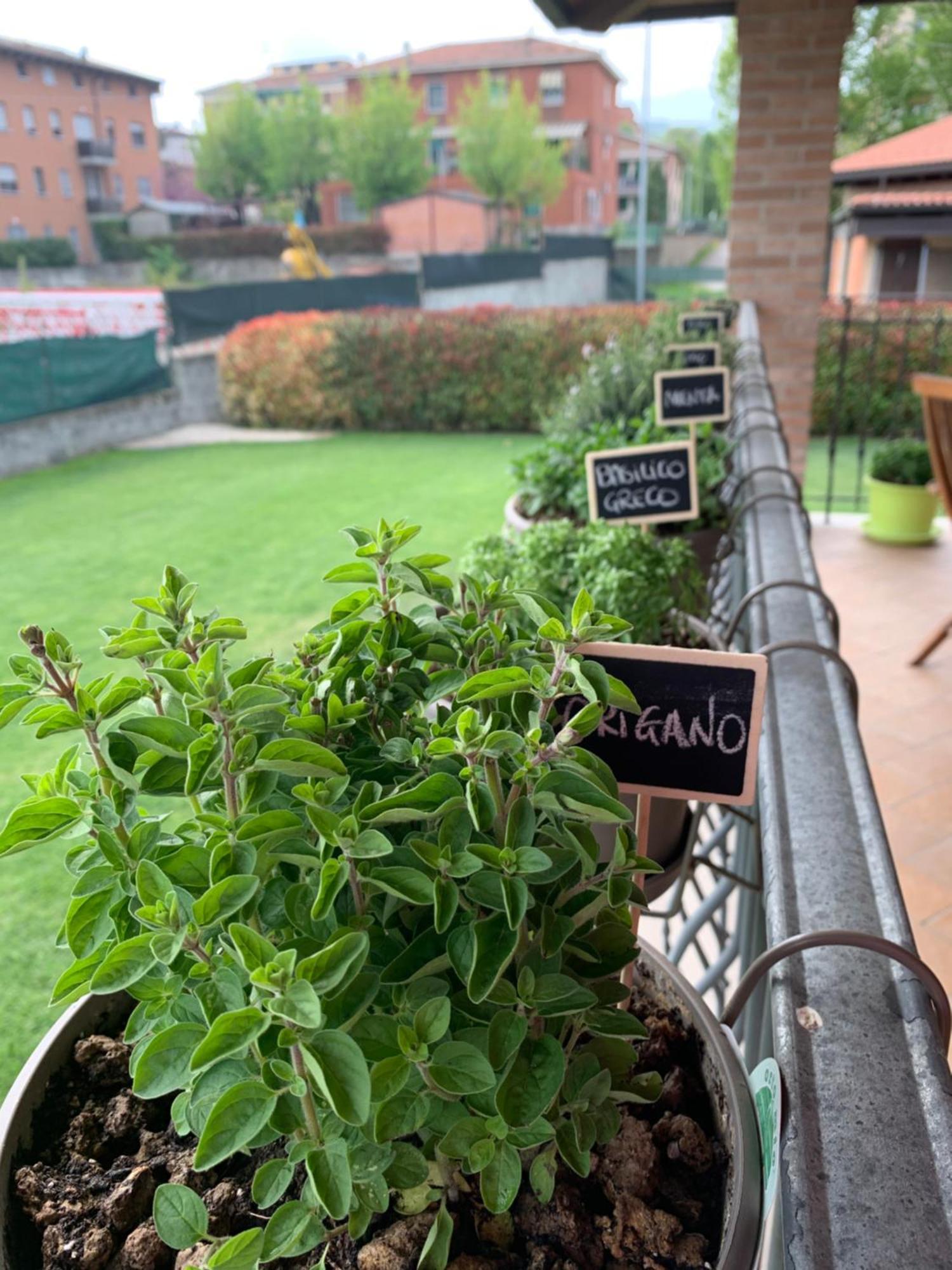 Appartamento Con Giardino Pontecchio Marconi Exteriér fotografie