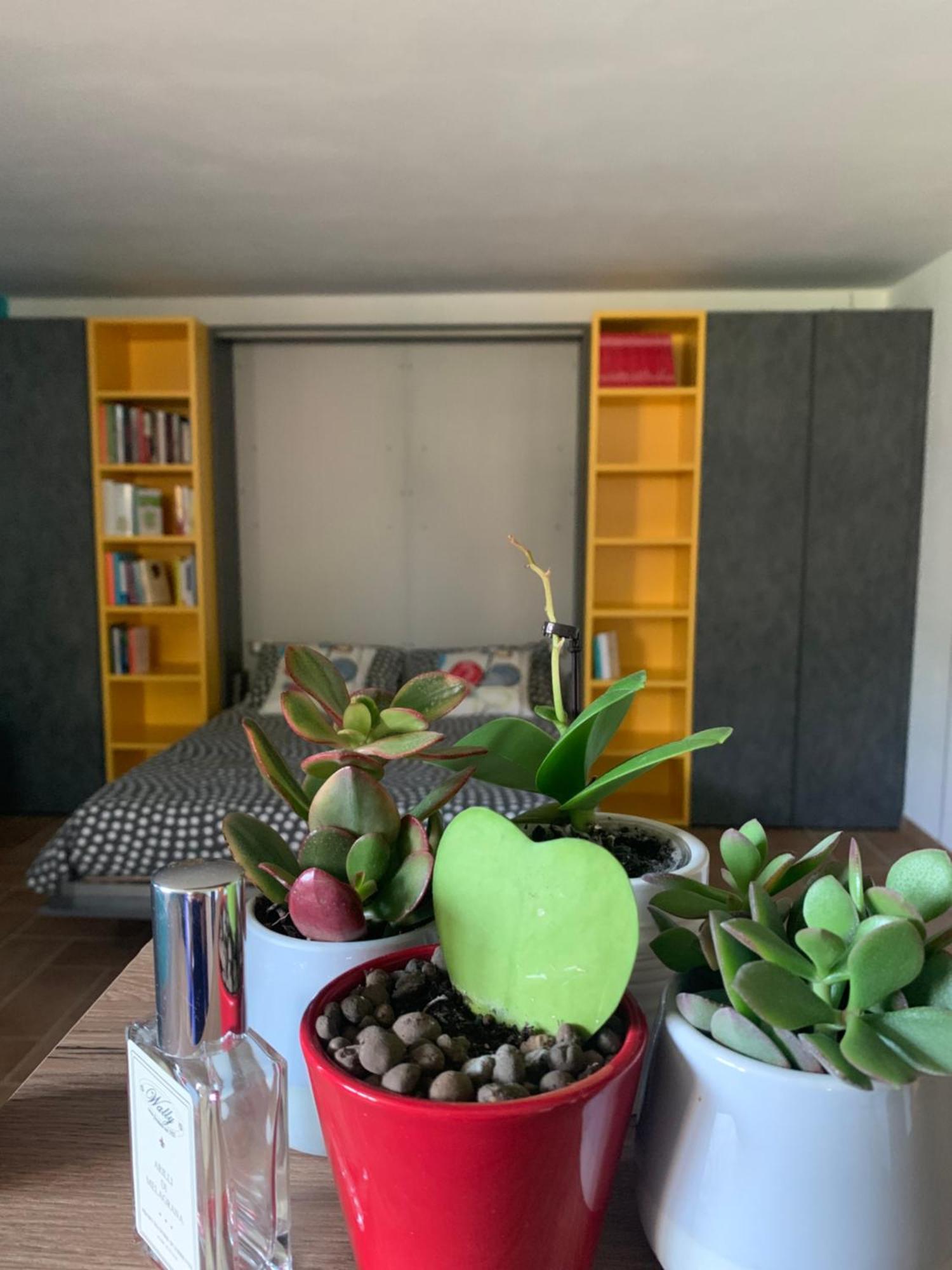 Appartamento Con Giardino Pontecchio Marconi Exteriér fotografie